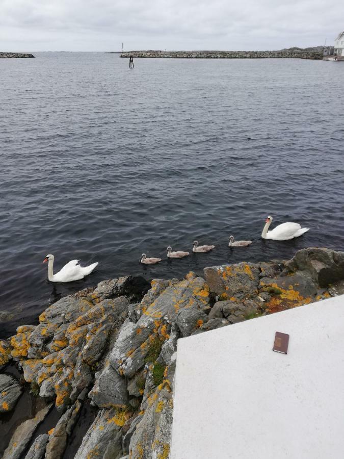 Seaview Apartment Karmoy Sæveland Bagian luar foto